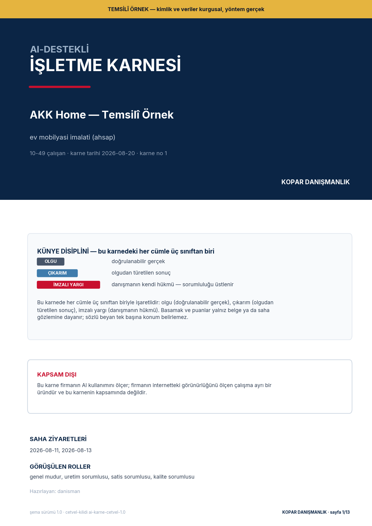 AI-Destekli İşletme Karnesi kapak sayfası, temsilî örnek